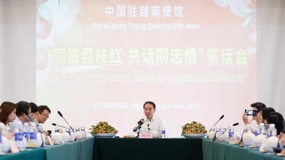 Lời hẹn mùa vải tháng Sáu