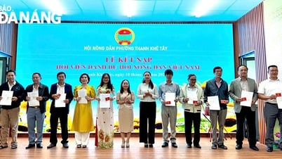 Nâng cao hiệu quả hoạt động hội