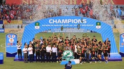 CLB Phù Đổng Ninh Bình Vô địch giải hạng Nhất 2024-2025
