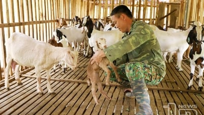 Trao 'cần câu' giúp đồng bào dân tộc thiểu số thoát nghèo