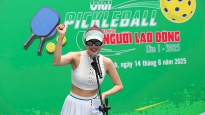 Đại sứ Minh Hằng tuyên thệ khai mạc giải pickleball Báo Người Lao Động 