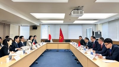 Đối thoại biển Việt Nam - Nhật Bản lần thứ 4