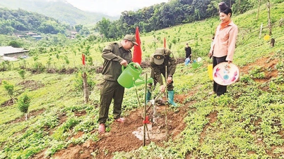 Tuần Giáo nỗ lực xây dựng nông thôn mới