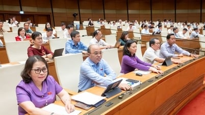 Các hành vi bị nghiêm cấm trong quản lý và đầu tư vốn nhà nước tại doanh nghiệp