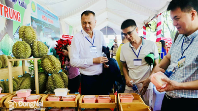 Cơ hội phát triển vùng chuyên canh sầu riêng xuất khẩu