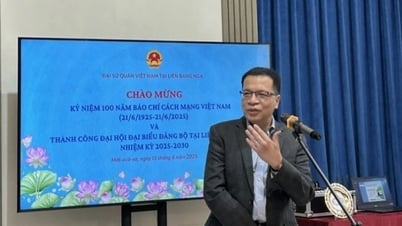 100 Jahre Tag der vietnamesischen revolutionären Presse in der Russischen Föderation