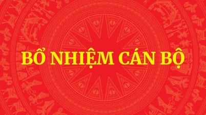 チュオン・ベト・ズン氏はハノイ人民委員会の副委員長を務めている。