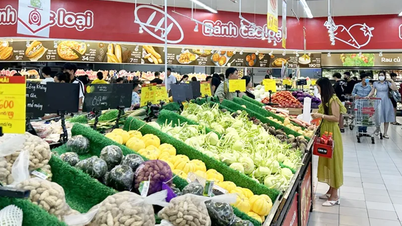 Chỉ số giá tiêu dùng tháng 5 giảm 0,42%