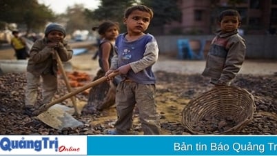 Tăng tốc hành động để chấm dứt lao động trẻ em!