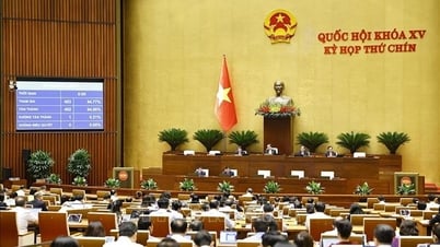 Thông qua Luật Thuế tiêu thụ đặc biệt (sửa đổi), Luật Thuế thu nhập doanh nghiệp (sửa đổi)