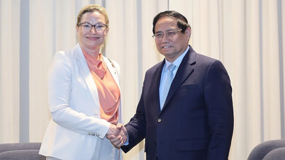 [Foto] Premierminister Pham Minh Chinh empfängt Führungskräfte mehrerer schwedischer Unternehmen