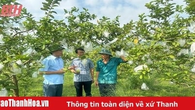 Dấu ấn 10 năm học và làm theo Bác ở Nông Cống