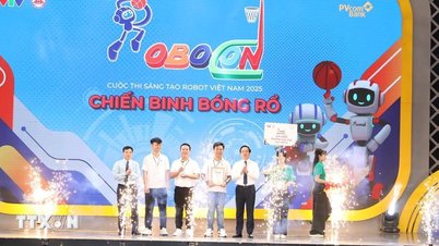 សាកលវិទ្យាល័យ Lac Hong បានឈ្នះជើងឯក Robocon 2025 ជុំចុងក្រោយ