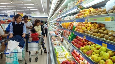 ឆ្ពោះទៅរកការអភិវឌ្ឍន៍ e-commerce ប្រកបដោយនិរន្តរភាព