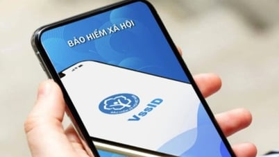 Hướng dẫn tra cứu BHXH, bảo hiểm thất nghiệp qua ứng dụng VssID