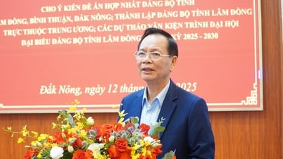 Ban Chấp hành Đảng bộ tỉnh Đắk Nông cho ý kiến nhiều nội dung quan trọng
