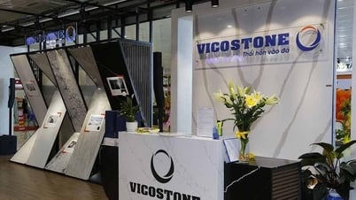 Vicostone (VCS) tạm ứng cổ tức bằng tiền mặt, tỉ lệ 20%