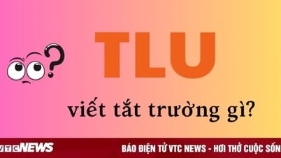 Nhiều người tranh cãi: TLU là viết tắt của Đại học Thuỷ lợi hay Thăng Long?