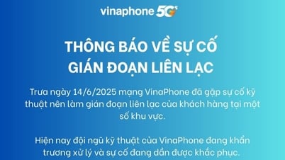 Khắc phục sự cố gián đoạn liên lạc mạng VinaPhone