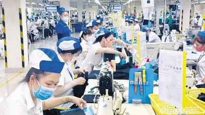 Công nhân động lực quan trọng thúc đẩy doanh nghiệp phát triển