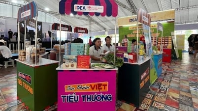 ការផ្លាស់ប្តូរឌីជីថលនៃពាណិជ្ជករទីផ្សារប្រពៃណីនៅលើមាត្រដ្ឋានជាតិ