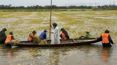 Thời tiết hôm nay 14/6: Miền Trung nắng lại sau mưa bão, miền Bắc mưa rào