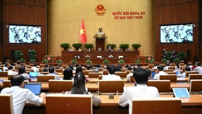 การแก้ไขรัฐธรรมนูญ พ.ศ. 2556: การรับรองการประสานงานระหว่างสถาบัน การส่งเสริมกลไกที่มีประสิทธิภาพ