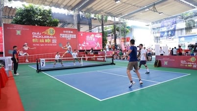 640 vận động viên tranh tài tại Giải Pikleball Đài Hà Nội năm 2025
