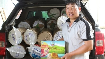 Người giữ hồn bánh tráng làng Tày Đam Rông