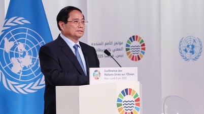 Đại dương có thể ‘ngừng tha thứ’