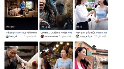Video ảo, hệ luỵ thật
