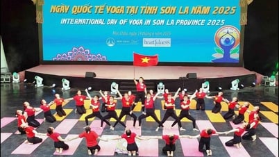 Son La répond à la Journée internationale du yoga 2025