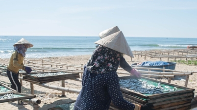 Việt Nam tiên phong trong bảo vệ môi trường và sinh kế gắn với biển