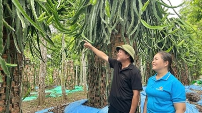 Vận động nông dân phát triển các mô hình kinh tế hiệu quả