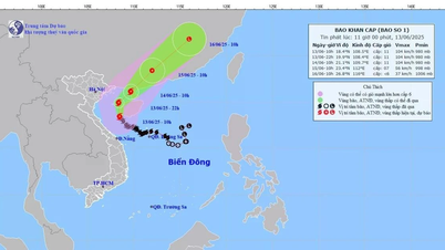 Hoàn lưu bão số 1 có gió mạnh cấp 7, giật cấp 8 trên đảo Bạch Long Vĩ