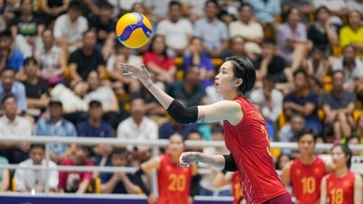 Lịch trực tiếp chung kết AVC Nations Cup: Việt Nam gặp Philippines