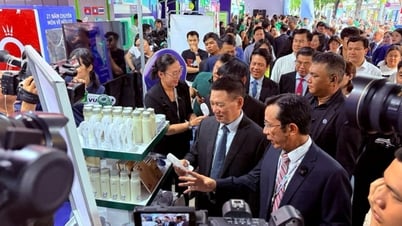 ទិវាគ្មានសាច់ប្រាក់ 2025 ដើម្បីជំរុញកំណើនសេដ្ឋកិច្ចឌីជីថល