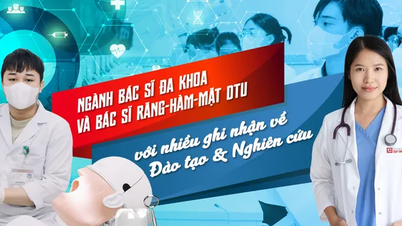 Ngành Bác sĩ Đa khoa và Bác sĩ Răng-Hàm-Mặt ở DTU với nhiều ghi nhận về Đào tạo và Nghiên cứu