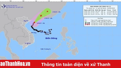 Bão số 1 đổi hướng, di chuyển theo hướng Đông Bắc với sức gió giật cấp 13