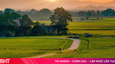 Podcast tản văn: Hương quê