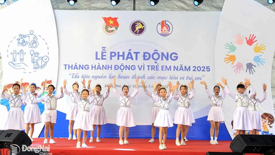 Khởi đầu mùa hè sôi động