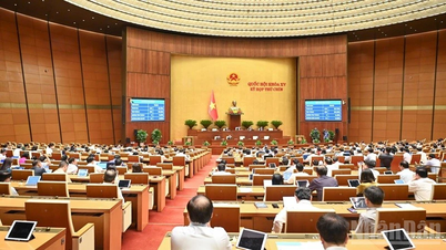 Exemption from declaration of conformity for products and goods that meet quality management requirements