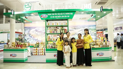 Cần Thơ tham gia quảng bá các sản phẩm chủ lực, sản phẩm OCOP tại Hội chợ hàng Việt Đà Nẵng 2025