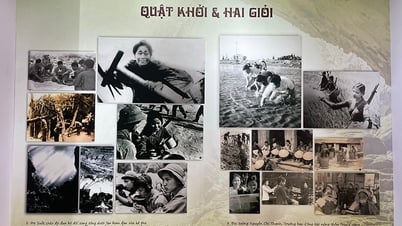 Dấu ấn Quảng Bình tại Bảo tàng Báo chí Việt Nam