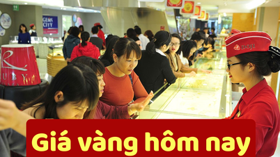 Giá vàng hôm nay 14/6/2025: Vàng trong nước chỉ cao hơn vàng thế giới 7 triệu đồng