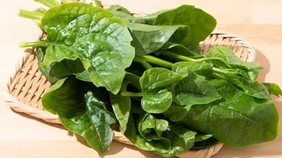 Điều gì xảy ra khi ăn rau mồng tơi hàng ngày?