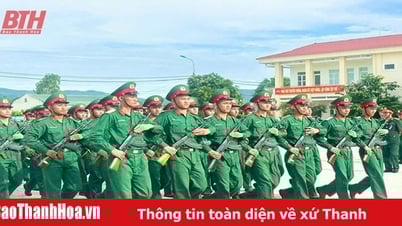 ดิวิชั่น 341 มีความคิดสร้างสรรค์ในการศึกษาและติดตามลุงโฮ