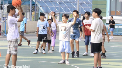 Để trẻ vui học hè