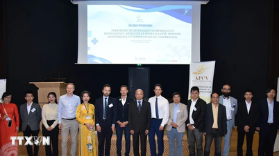 France-Vietnam seminar on digital technology and AI applications in healthcare