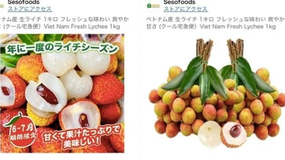 Giá vải thiều Việt Nam bán trên Amazon Nhật Bản giá nửa triệu đồng/kg